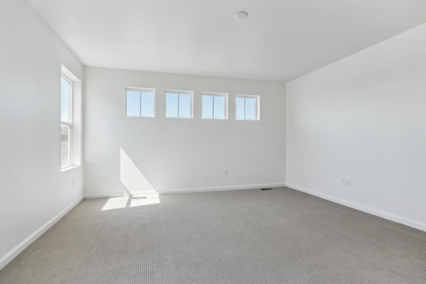 A room with a carpet and windows.