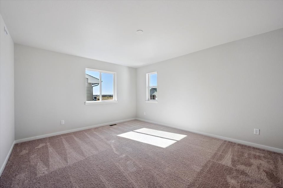 A room with a rug and windows.