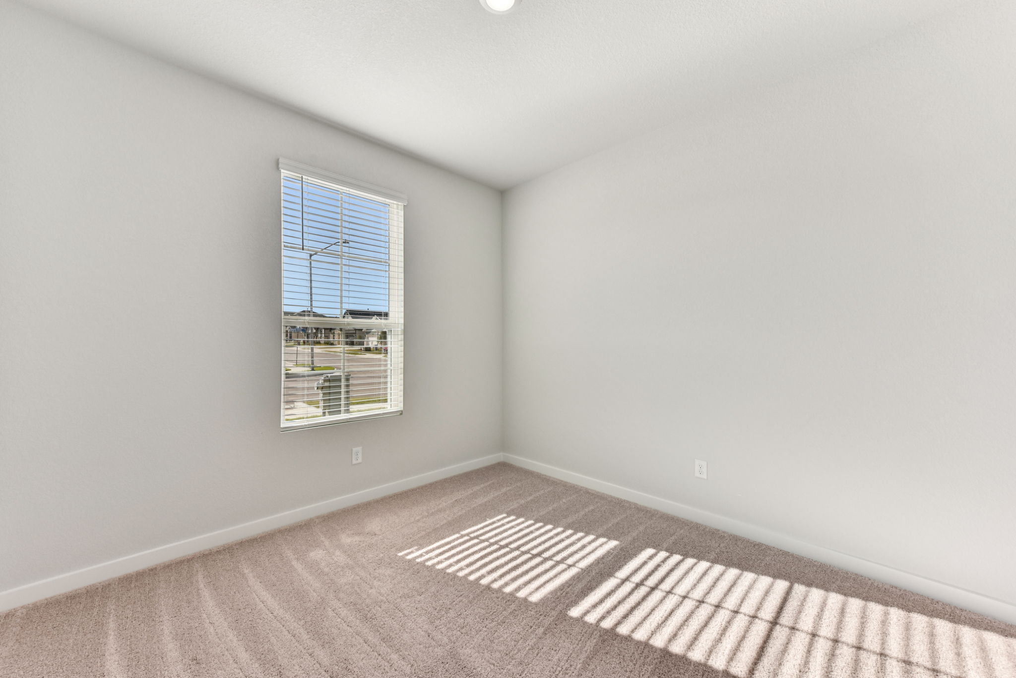 A room with a window and a rug.