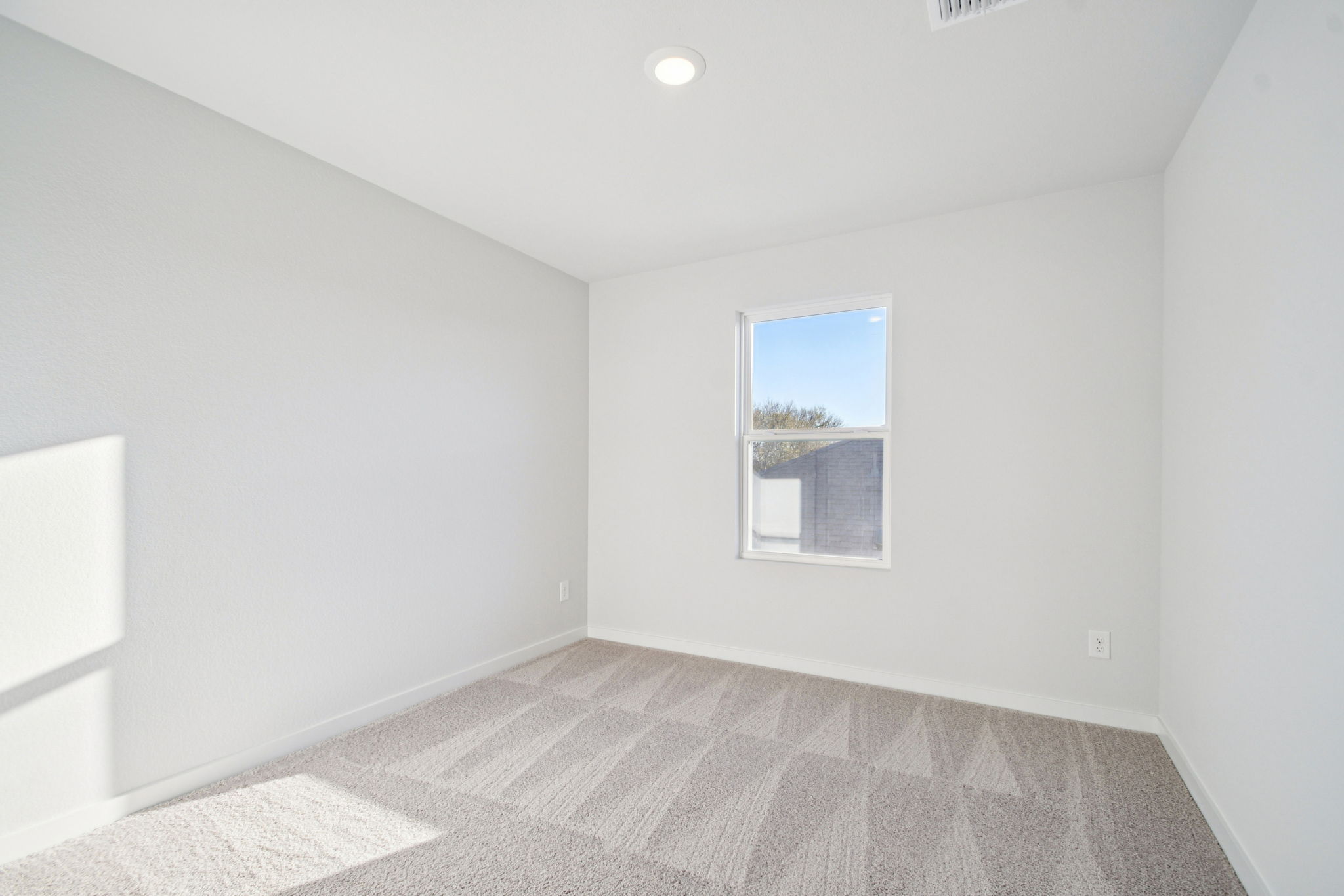A room with a window and a rug.