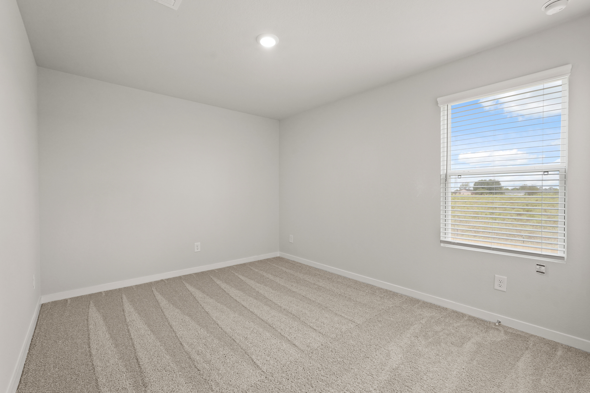 A room with a window and a rug.