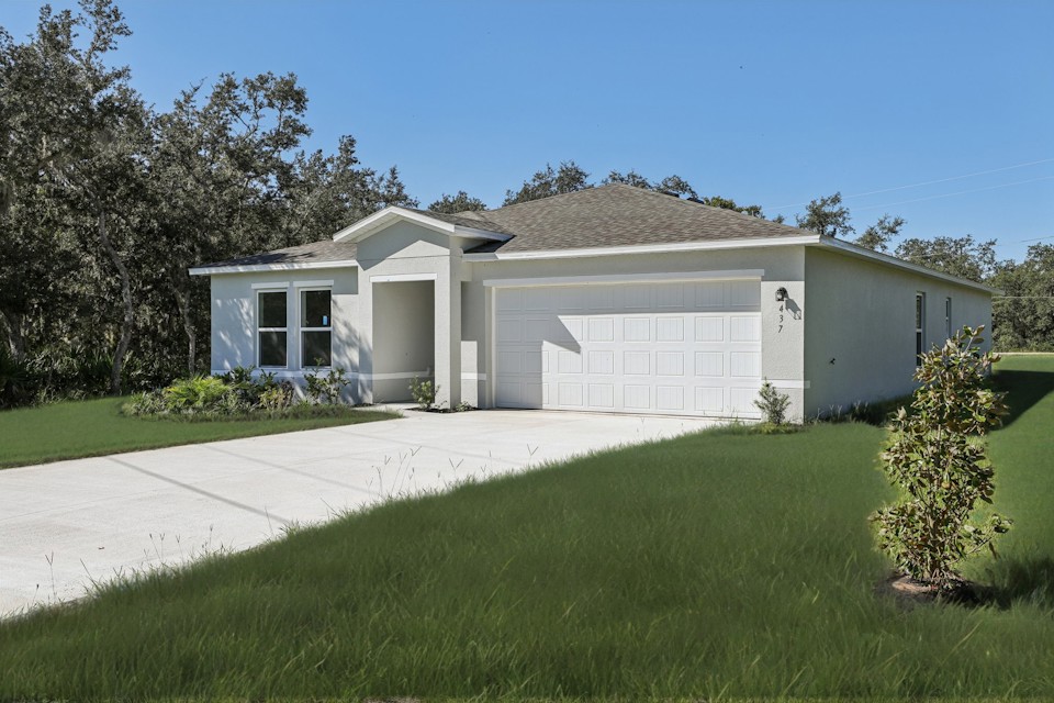 A house with a lawn.